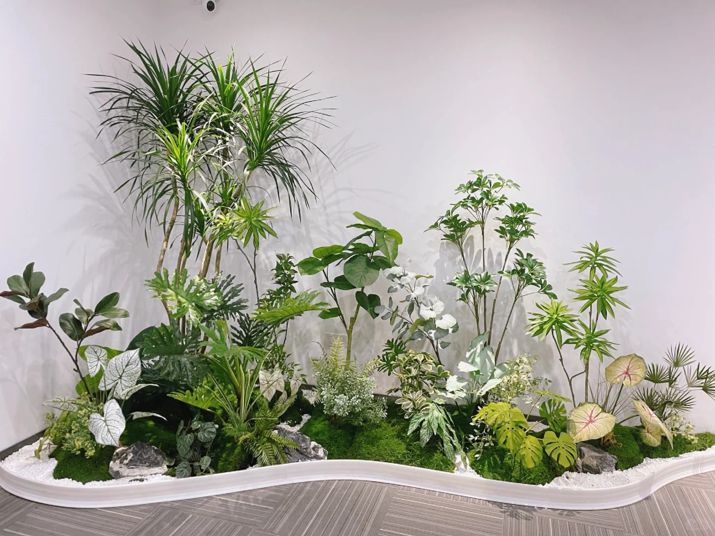 专业绿植租摆，宁波江北的清新之选